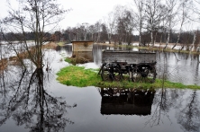 Überschwemmte Wiese nach Starkregen (am Horster Damm/Vossmoor)