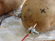 Kartoffelbatterie