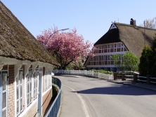 Reetdachhäuser am Neuengammer Hausdeich