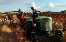 (2010) Weizenernte bei Krümse mit einem Mähbinder (Lanz), gezogen von einem Traktor «Dieselross» (Fendt)