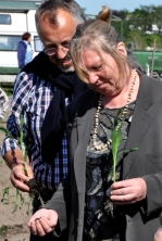 Dora Heyenn (Die Linke) und Bernd Capeletti (CDU) pflanzen samenfesten Bantam-Zuckermais. (CC-BY C.Schomann)