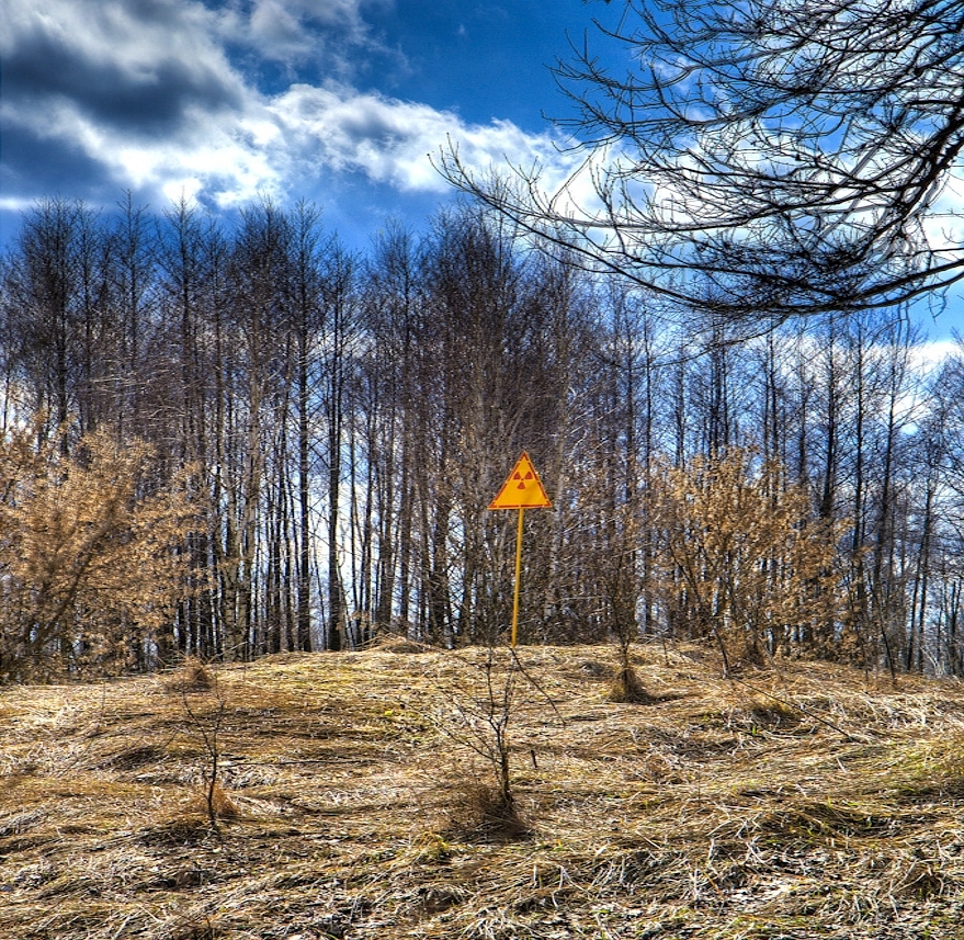 Der rote Wald in der Nähe von Tschernobyl, Ukraine, gefährlich verstrahlt für Jahrtausende