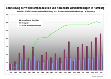 Storchen-Windrad-Statistik seit 1991