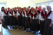 Die Sangesschwestern vom Singkreis der Kirchwerder Landfrauen (Foto: Meede)