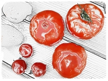 Kleine und große Tomaten (CC-BY C.Schomann)
